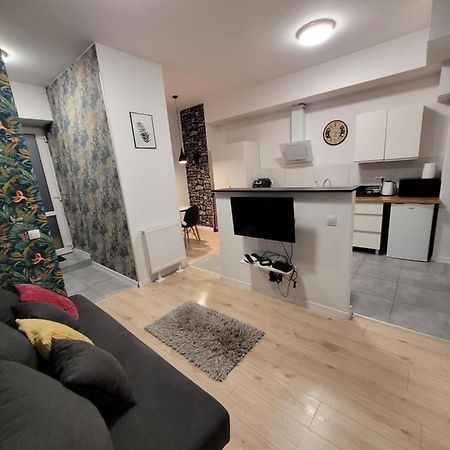 Apartamenty Cieplicka 20 Jelenia Góra Extérieur photo