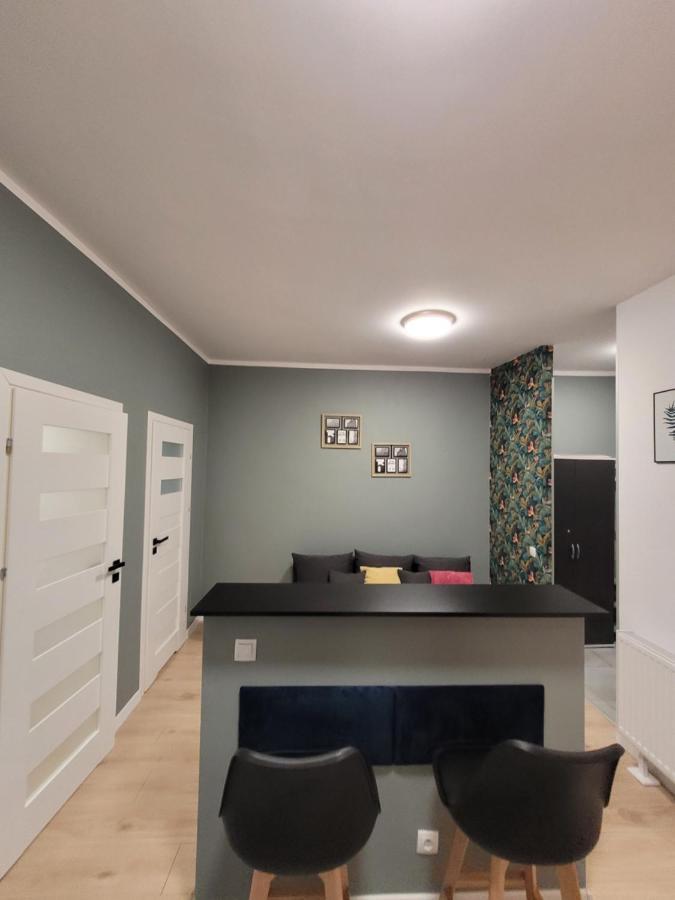 Apartamenty Cieplicka 20 Jelenia Góra Extérieur photo